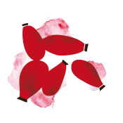 Dried rose-hips